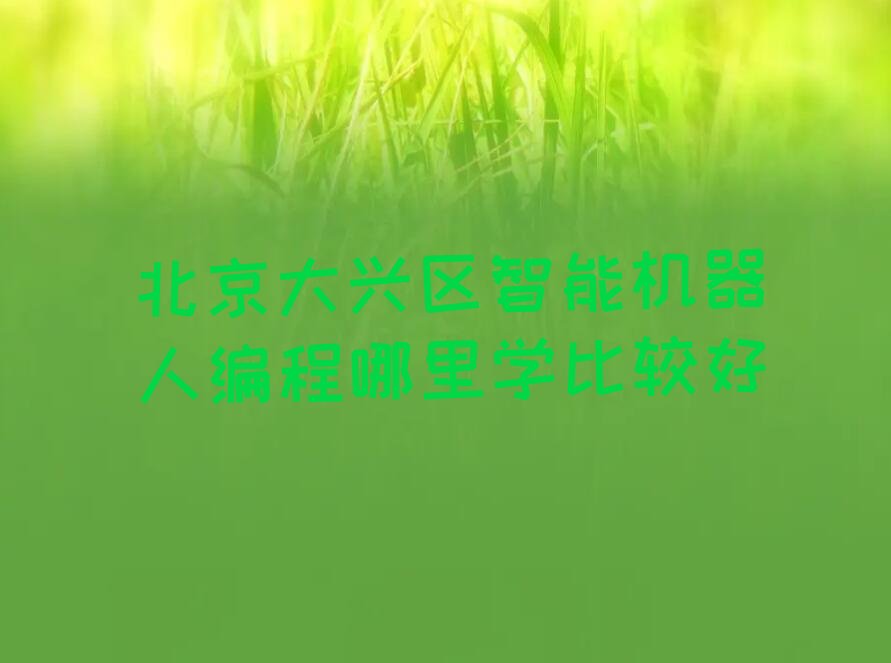 十大北京大兴区智能机器人编程哪里学比较好排行榜