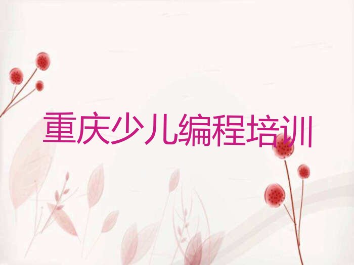 娃娃编程