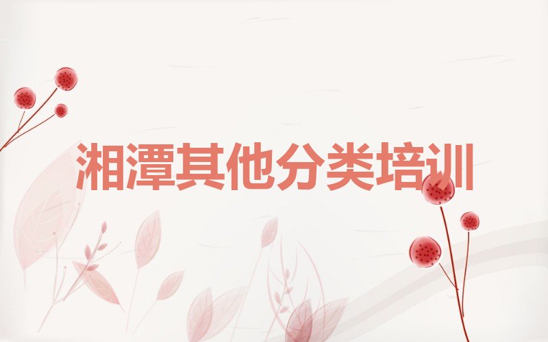 湘潭少儿无人机大赛培训学校