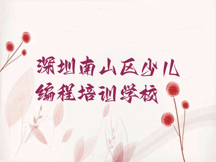 深圳南山区少儿编程培训学校