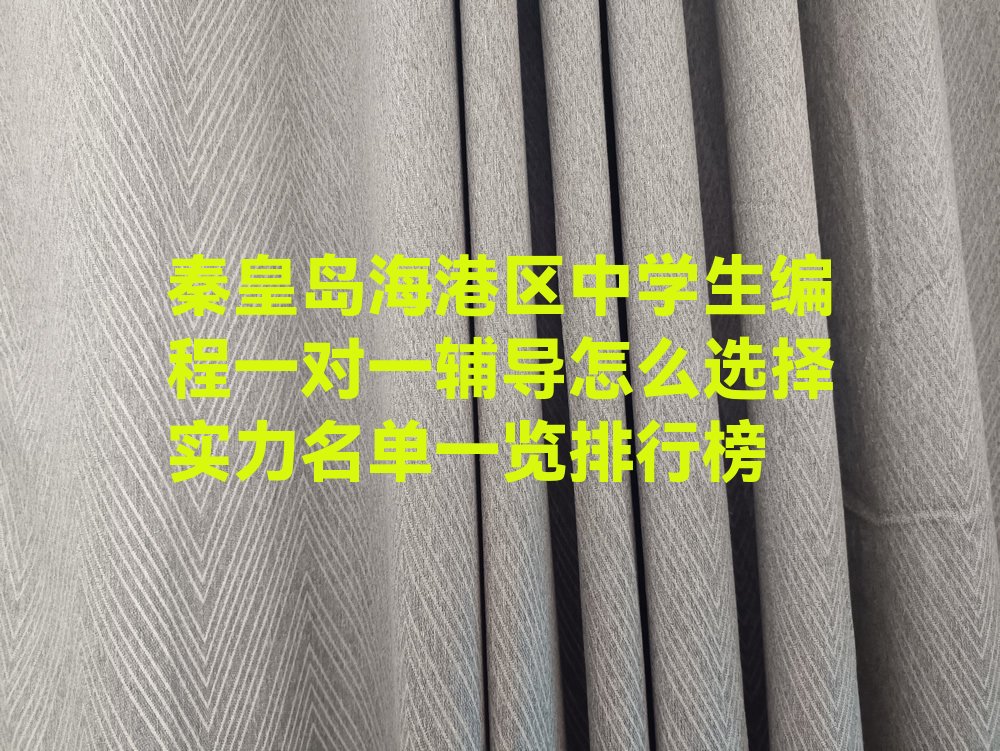 秦皇岛海港区少儿编程培训学校