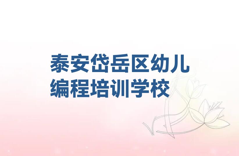 泰安岱岳区幼儿编程培训学校