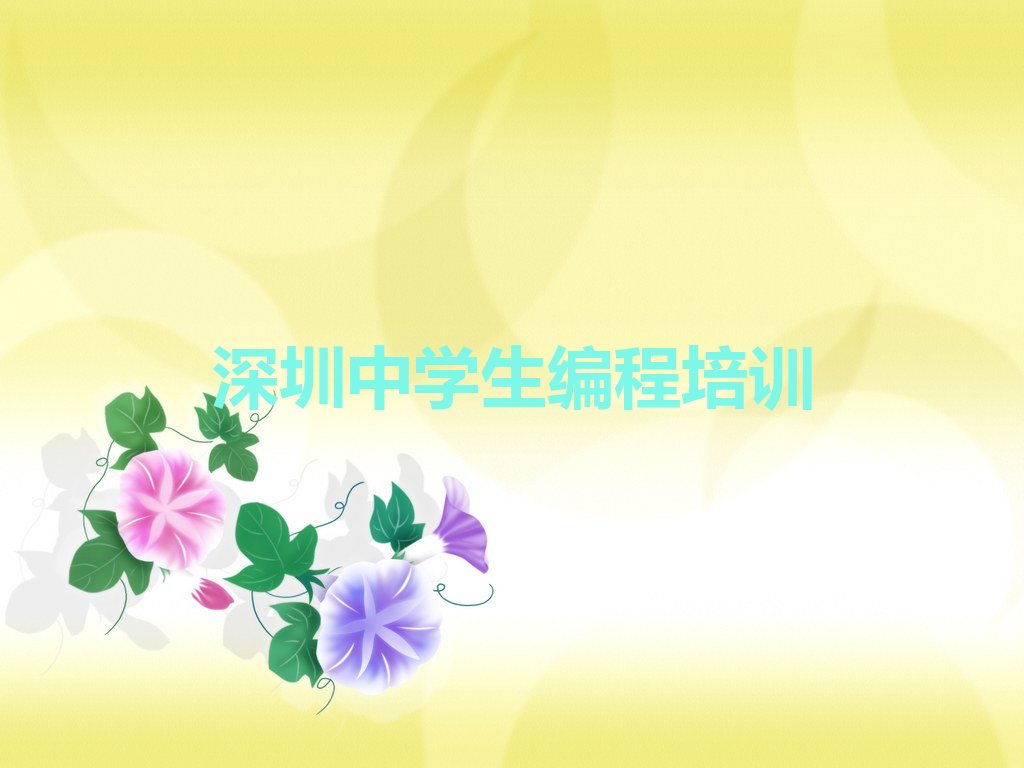 深圳盐田区少儿编程培训学校