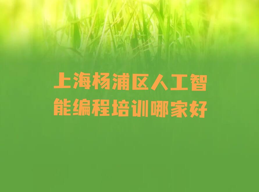 上海杨浦区定海路人工智能编程培训学校