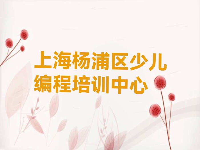 上海杨浦区少儿编程培训中心