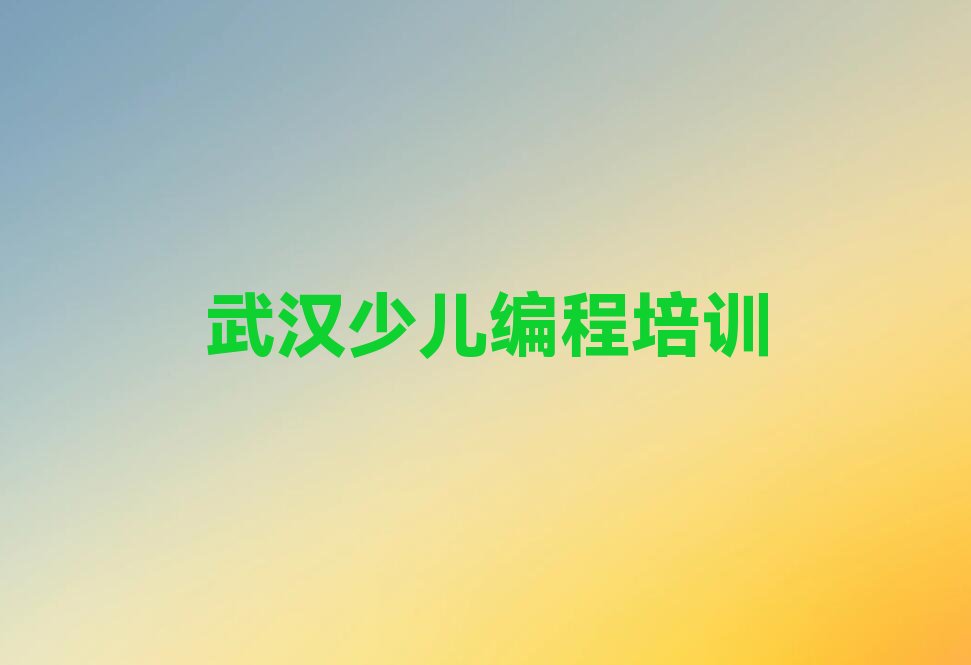 武汉黄陂区天河街道scratch培训学校