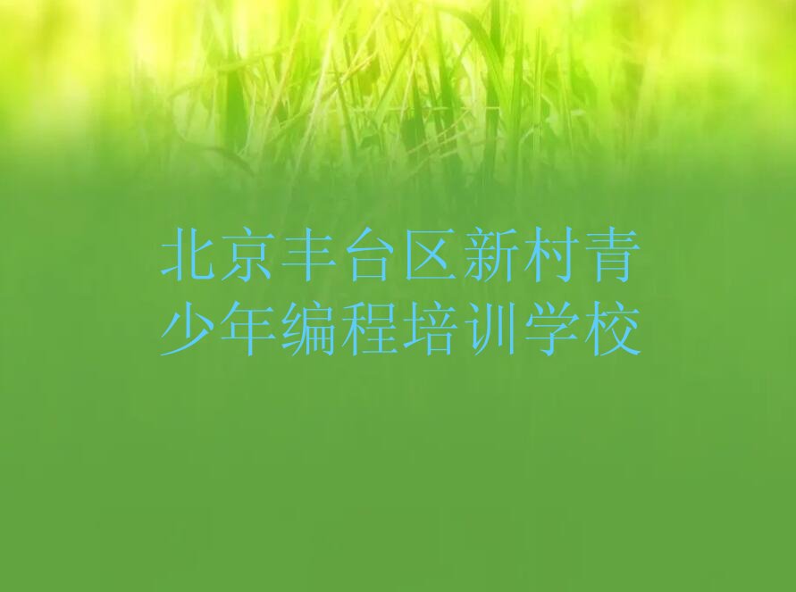 北京丰台区新村青少年编程培训学校