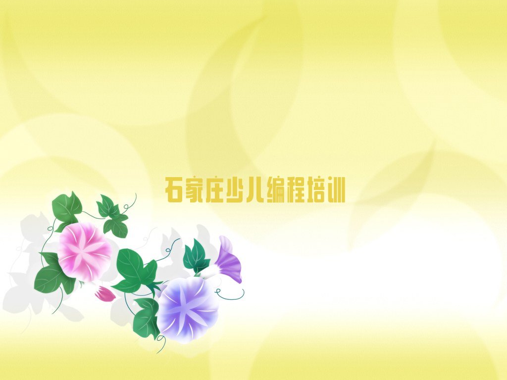 石家庄栾城区栾城镇少儿编程培训学校