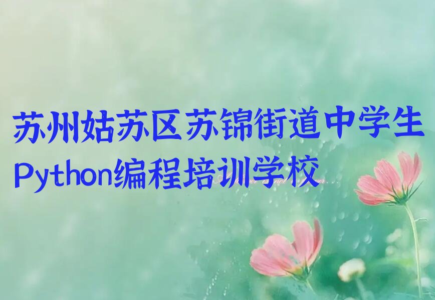 苏州姑苏区苏锦街道中学生Python编程培训学校