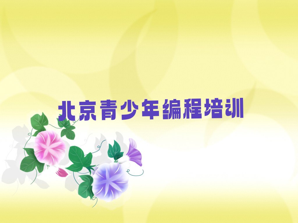 青少年编程