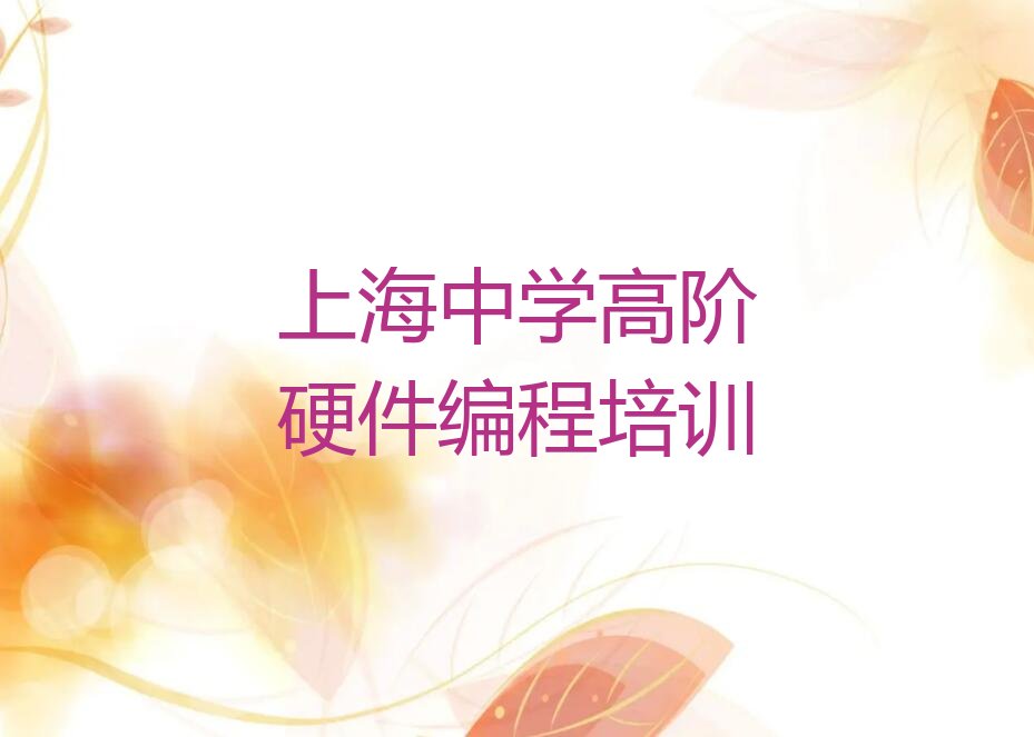 上海金山区漕泾镇少儿编程培训学校