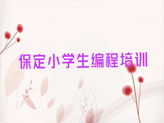 保定徐水区少儿编程培训学校