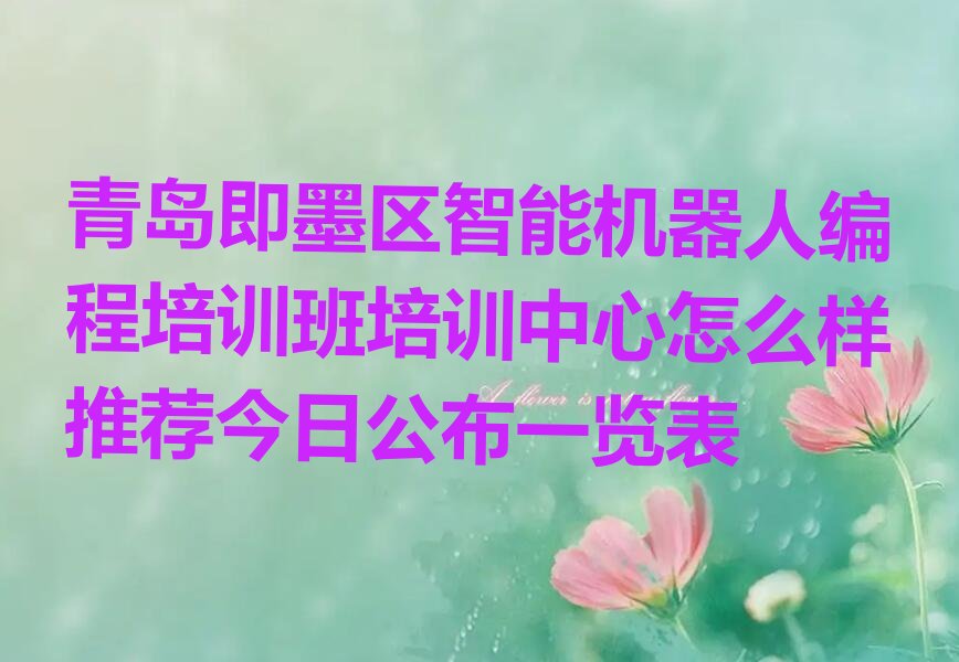 青岛少儿编程培训中心
