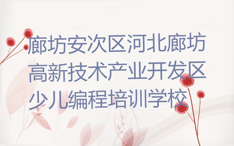 廊坊安次区河北廊坊高新技术产业开发区少儿编程培训学校