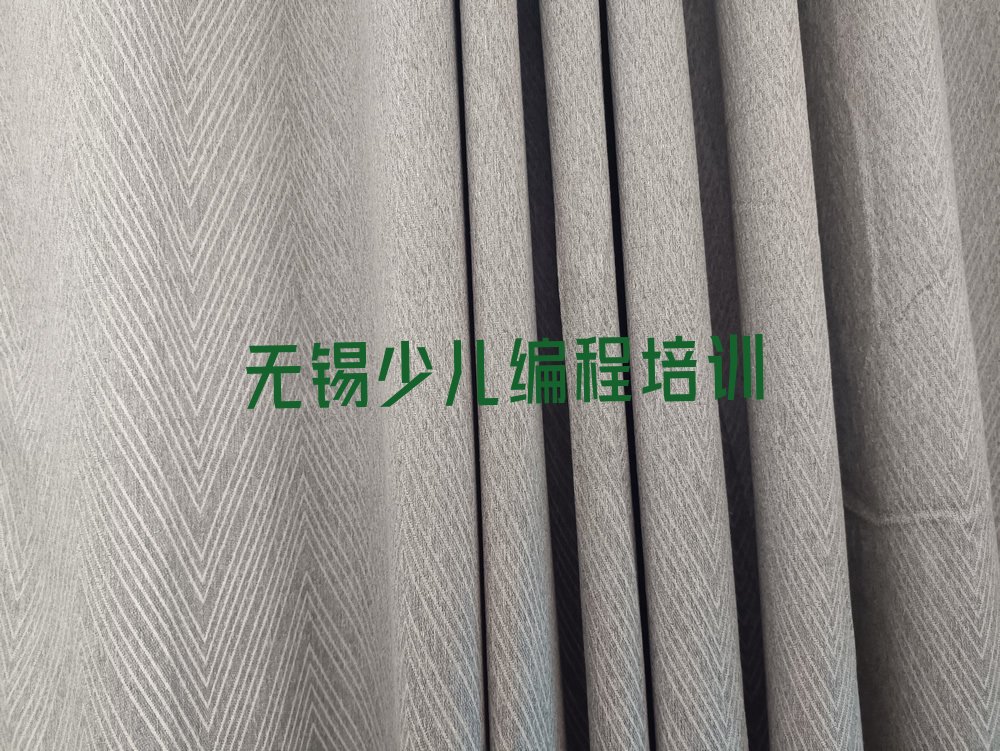 无锡滨湖区雪浪街道少儿编程培训学校
