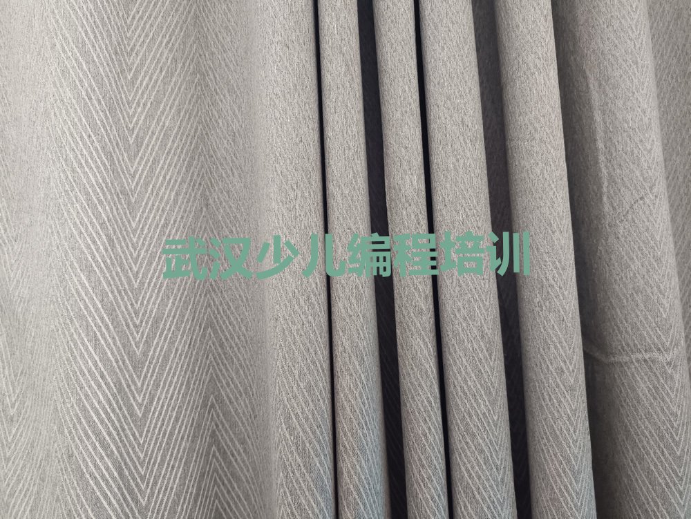 武汉少儿编程培训
