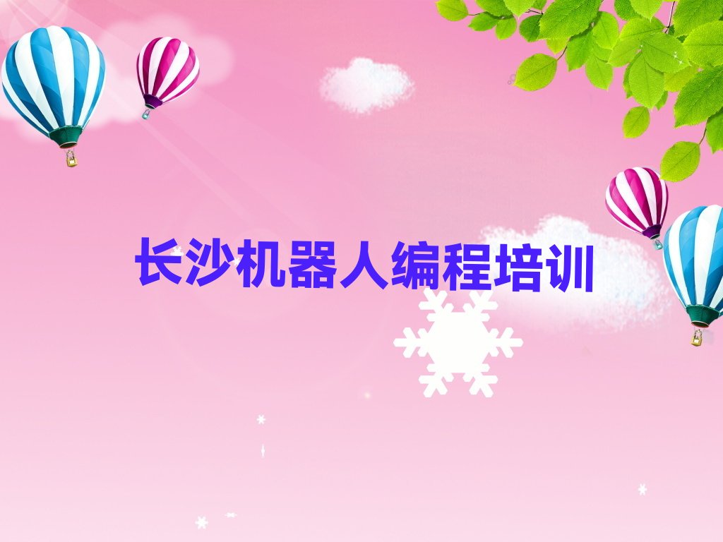 长沙望城区白箬铺镇机器人编程培训学校