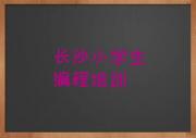 长沙开福区小学生编程专业培训学校哪个好一点呢口碑排名排行榜一览表