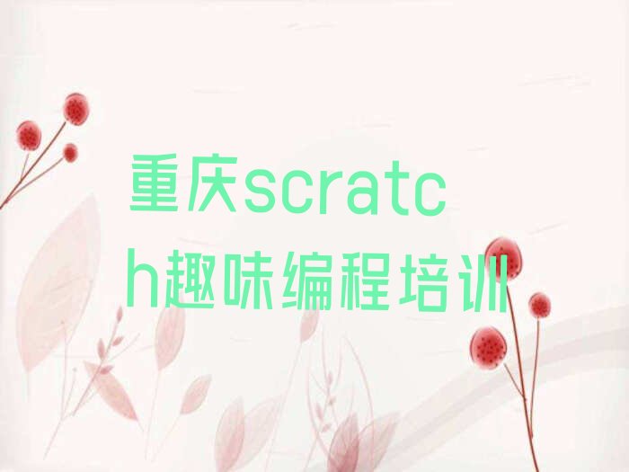 重庆江津区少儿编程培训