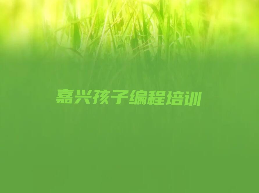 嘉兴秀洲区少儿编程培训班