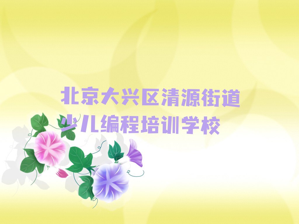 北京大兴区清源街道少儿编程培训学校