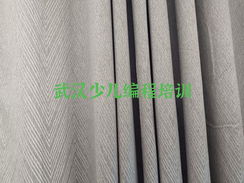 十大武汉哪里有学信息学奥赛编程名单今日一览排行榜排行榜