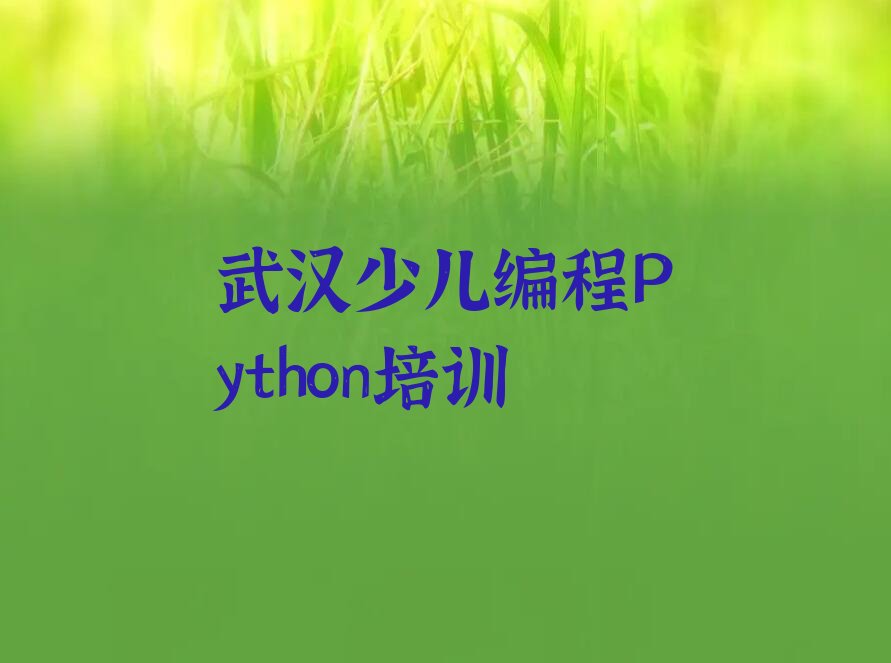 少儿编程Python