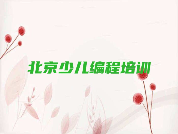 北京青少年无人机大赛培训学校