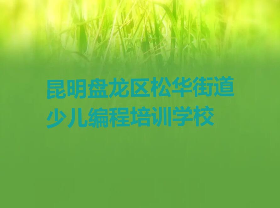 昆明盘龙区松华街道少儿编程培训学校