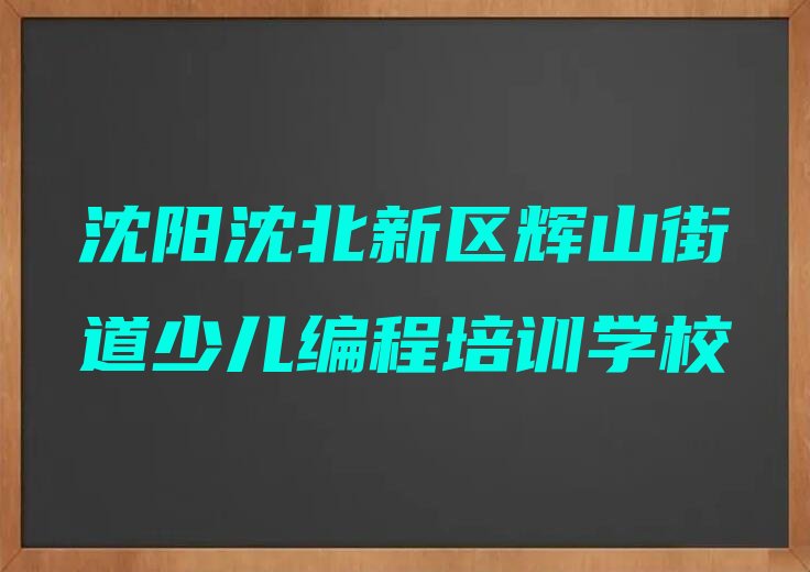 沈阳沈北新区辉山街道少儿编程培训学校
