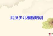 2025年武汉新洲区中学高阶硬件编程线下培训班名单总览公布一览表