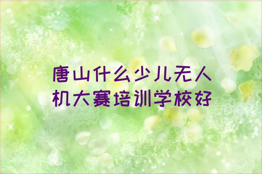 十大唐山什么少儿无人机大赛培训学校好排行榜