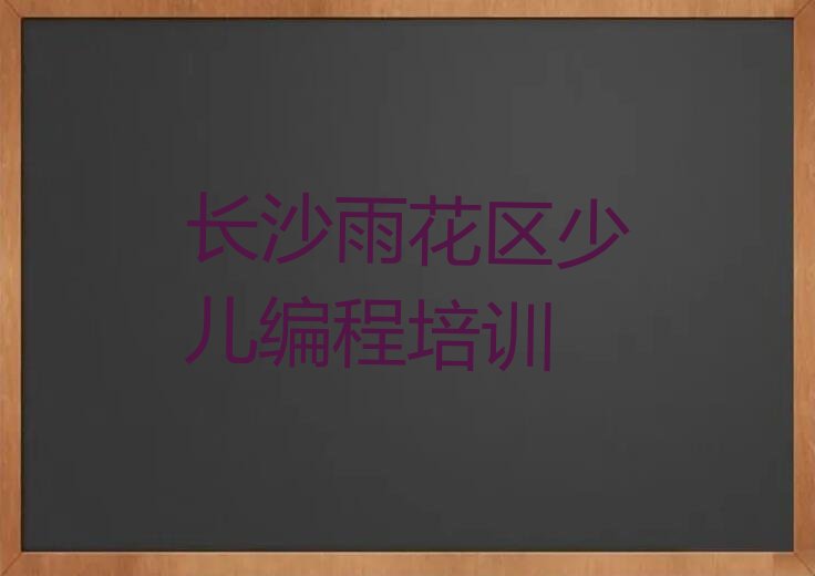 长沙雨花区少儿编程培训