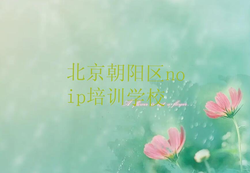 北京朝阳区noip培训学校