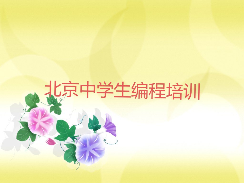 中学生编程