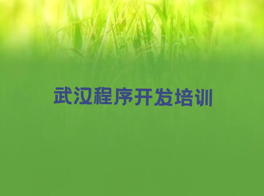 十大武汉侏儒山街道成功片区靠谱的Python编程人工智能培训机构-武汉侏儒山街道成功片区童程童美Python编程人工智能零基础班名单排行榜一览排行榜