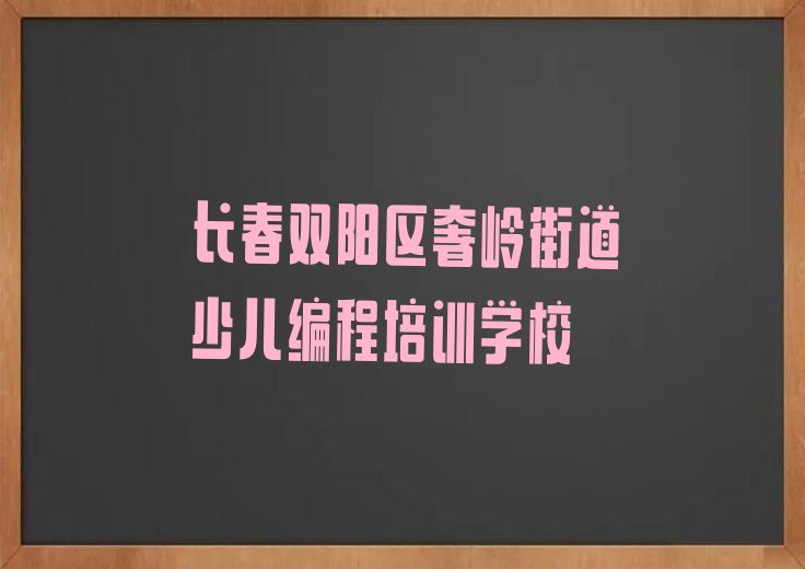 长春双阳区奢岭街道少儿编程培训学校