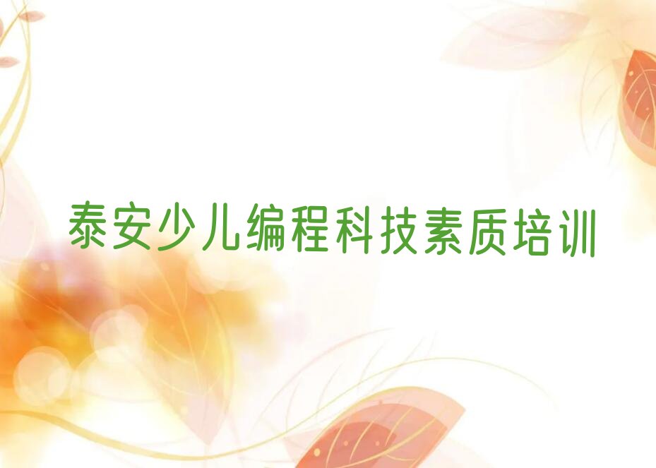 泰安泰山区财源街道少儿编程培训学校