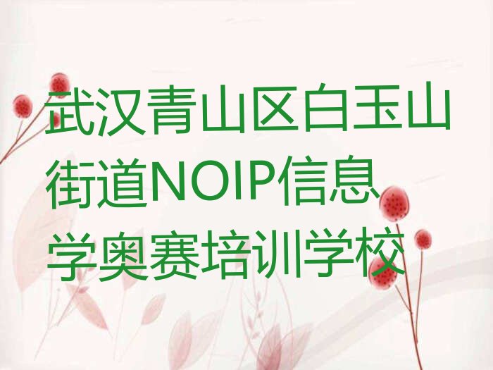 武汉青山区白玉山街道NOIP信息学奥赛培训学校