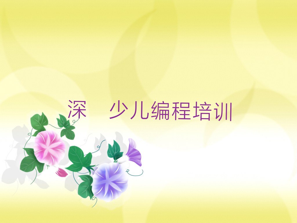 深圳少儿编程培训