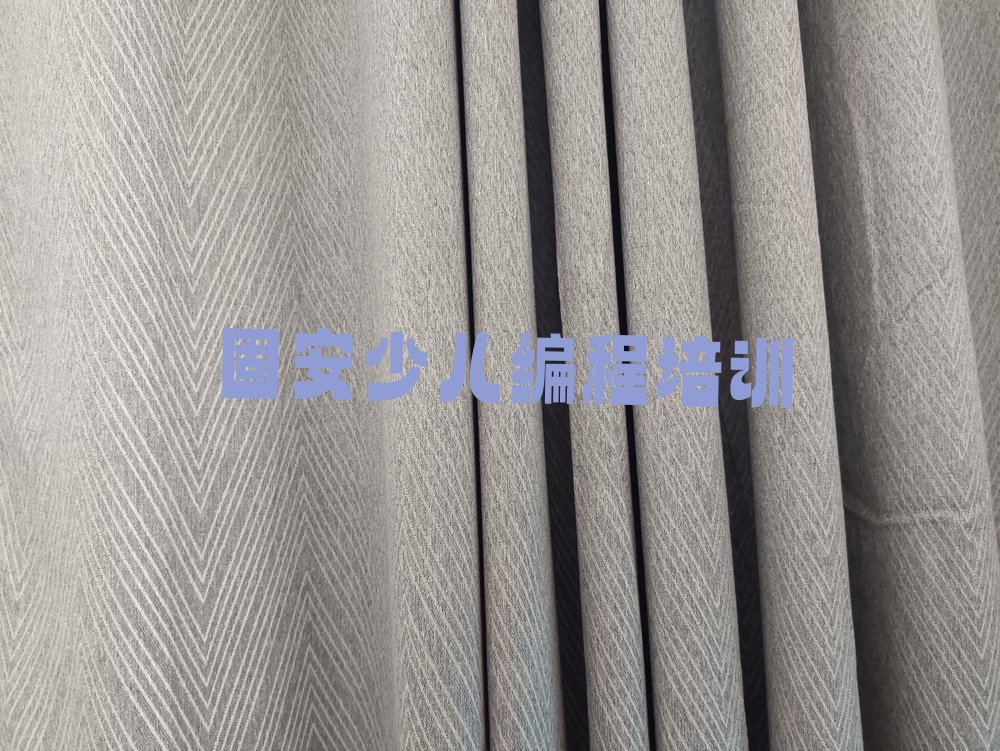 固安少儿编程培训班