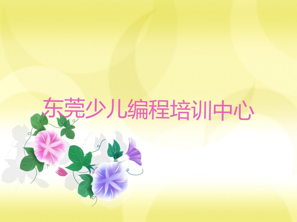 东莞少儿编程培训中心