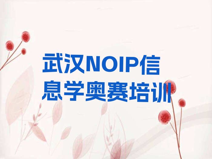 武汉青山区白玉山街道NOIP信息学奥赛培训学校