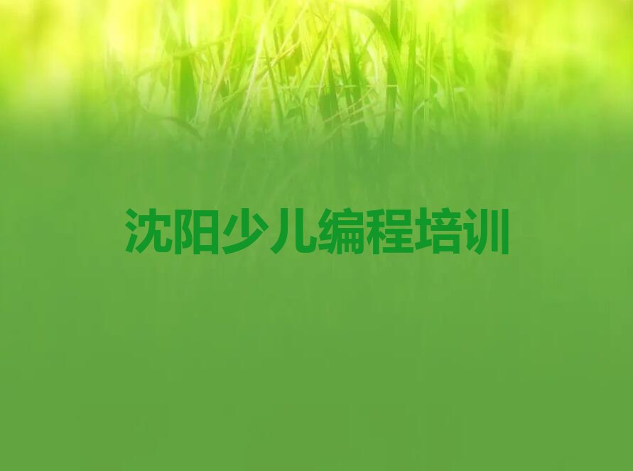 沈阳少儿编程培训