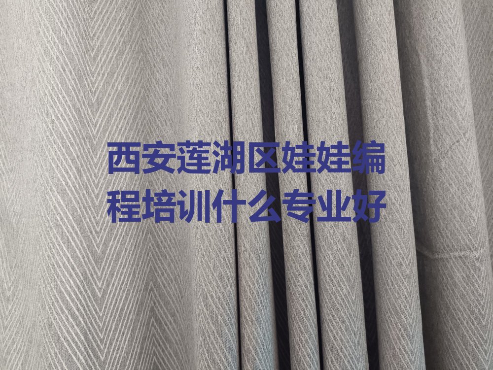 西安莲湖区环城西路少儿编程培训学校