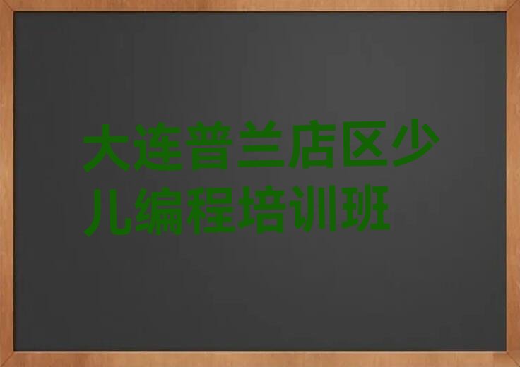 大连普兰店区少儿编程培训班