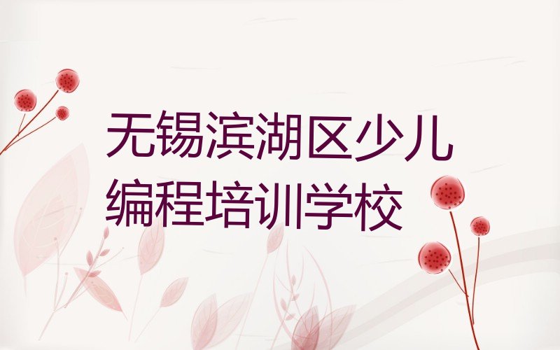无锡滨湖区少儿编程培训学校