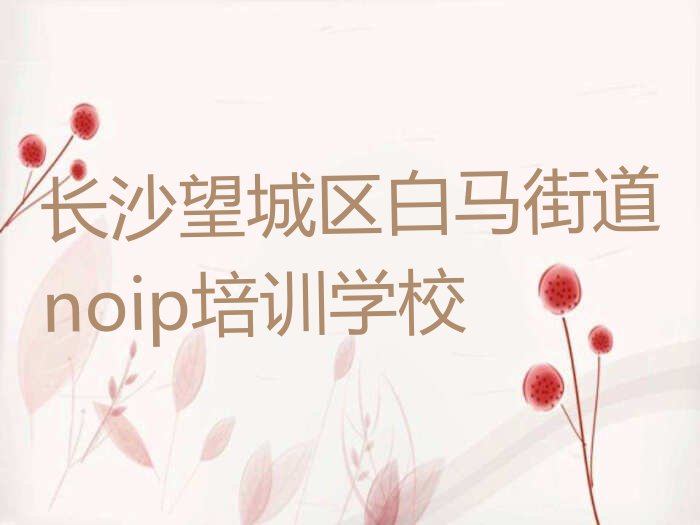 长沙望城区白马街道noip培训学校