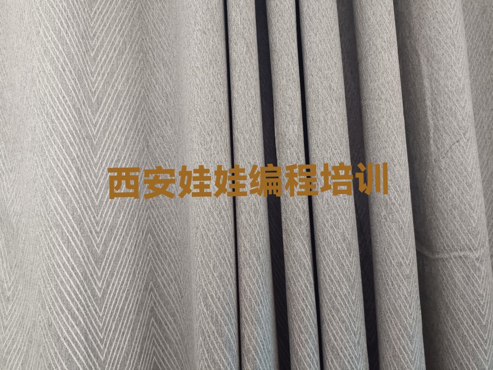 十大西安莲湖区娃娃编程培训什么专业好排行榜