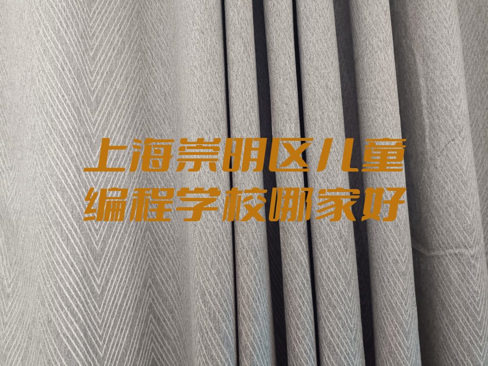 十大上海崇明区儿童编程学校哪家好排行榜
